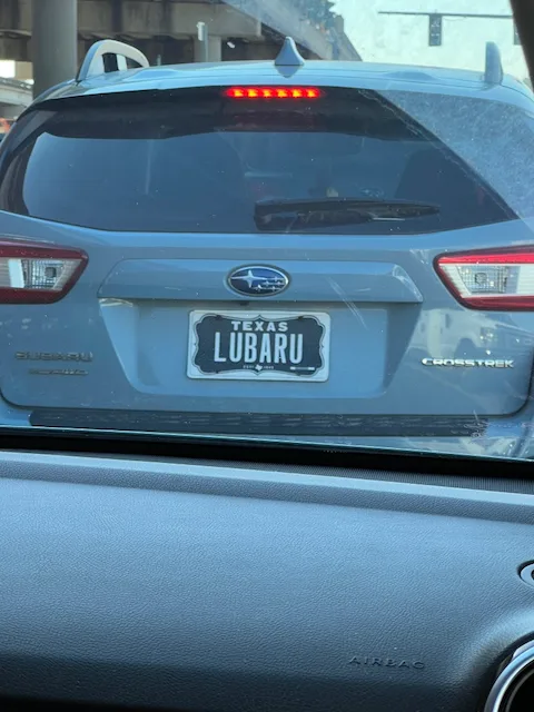 LUBARU — TX