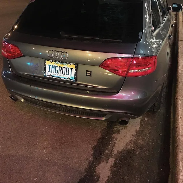 IMGROOT — CA
