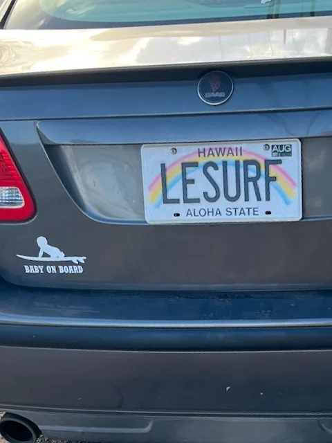 LESURF — HI