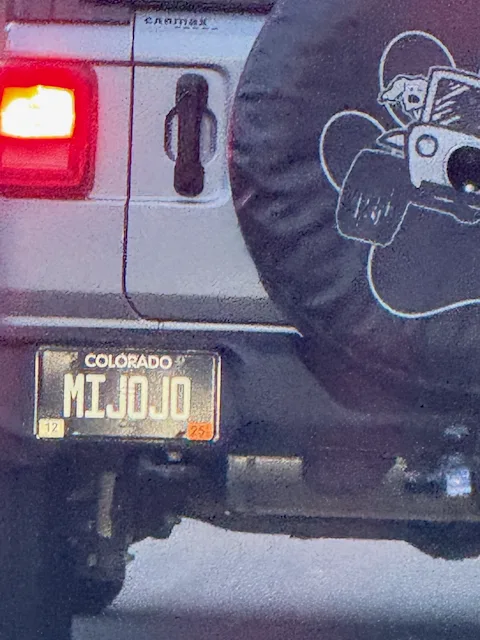 MIJOJO — CO