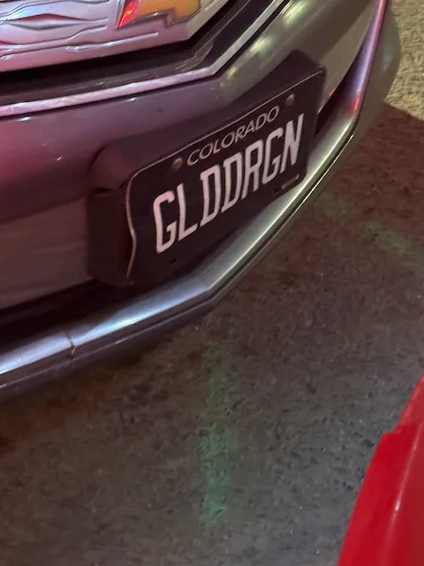 GLDDRGN — CO