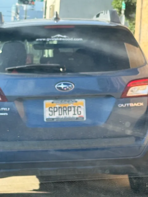 SPDRPIG — CA