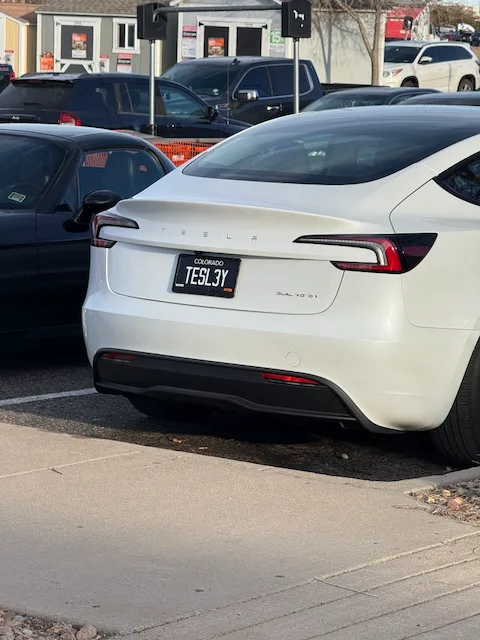 TESL3Y — CO