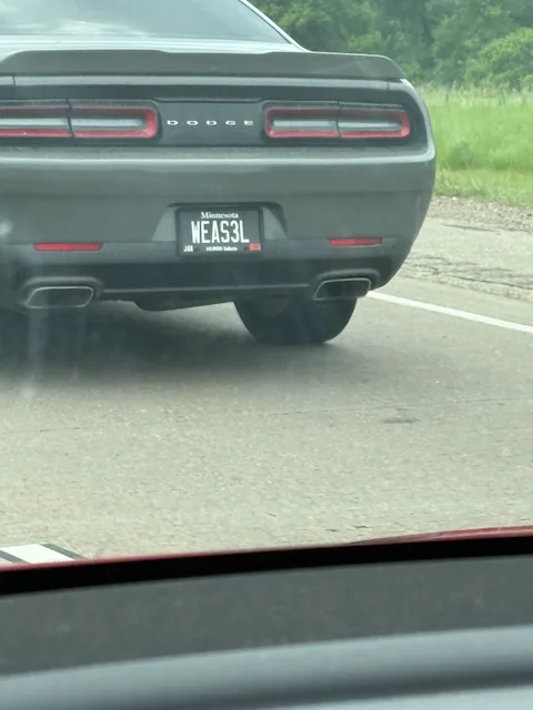 WEAS3L — MN