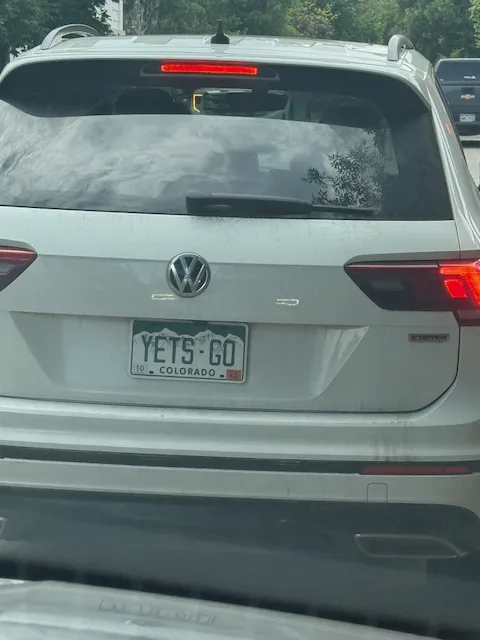 YETS GO — CO