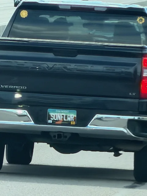 SONFLWR — CO