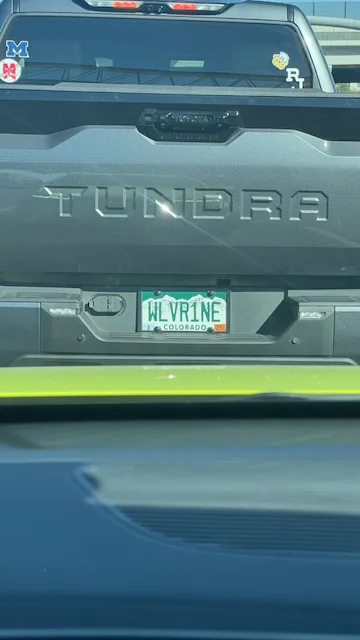 WLVRINE — CO